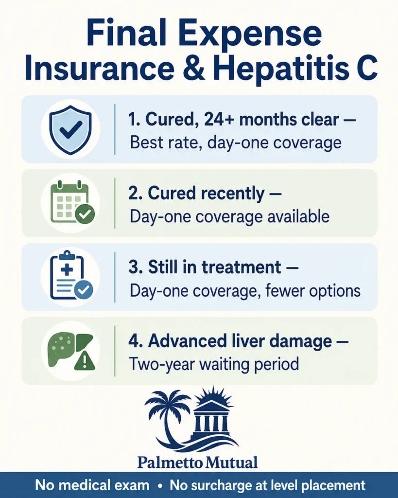 Infographic showing hepatitis C final expense outcomes — cured 24+ months clear earns the best rate and day-one coverage, recent cures and active treatment still get day-one coverage, and advanced liver damage means a two-year waiting period.